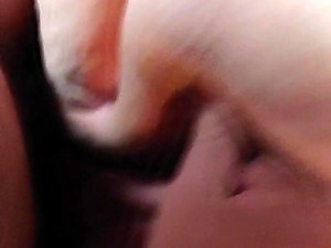 Creampied the wife